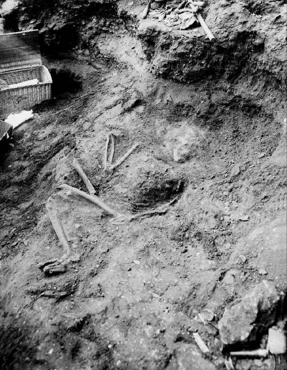 La Ferrassie 1 Neanderthal skull