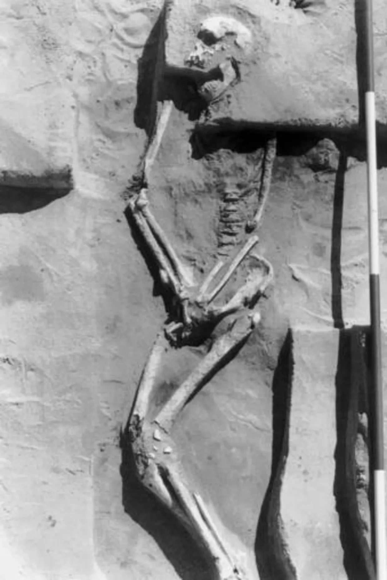 Lake Mungo 3 burial site in New South Wales, Australia