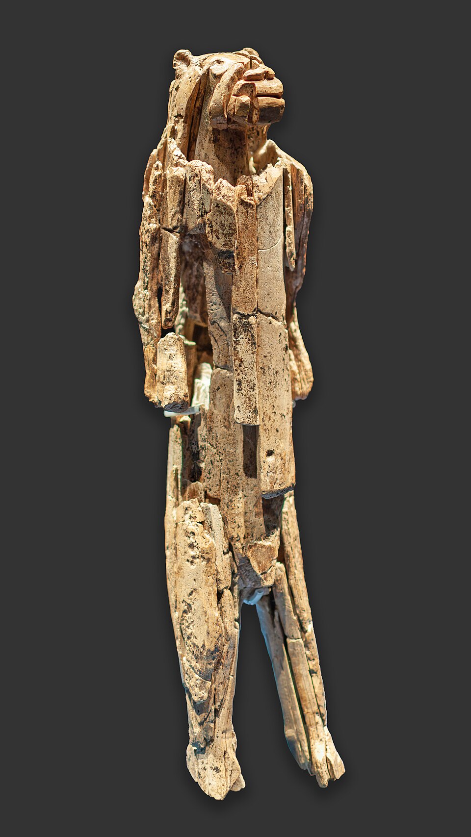 The Lion Man of Hohlenstein-Stadel, a 40,000-year-old ivory figurine depicting a human-lion hybrid