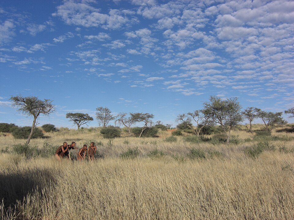 Bushmen showing hunting techniques