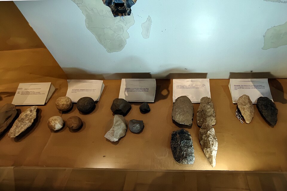 An Oldowan stone tool toolkit showing choppers and flakes