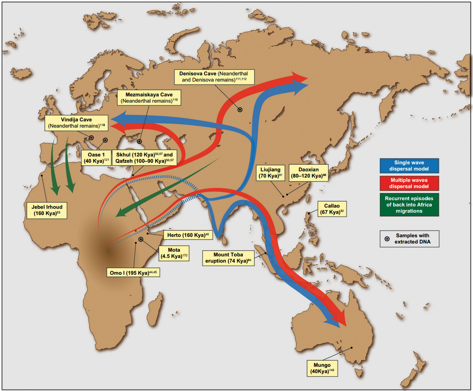 Map showing putative migration waves out of Africa with arrows indicating dispersal routes and dates