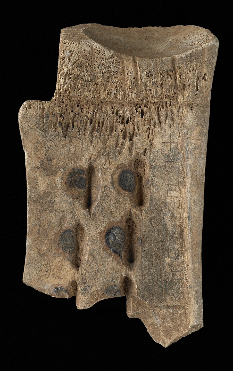 Ox shoulder blade inscribed with oracle bone script, Shang dynasty China, from the Couling-Chalfant collection