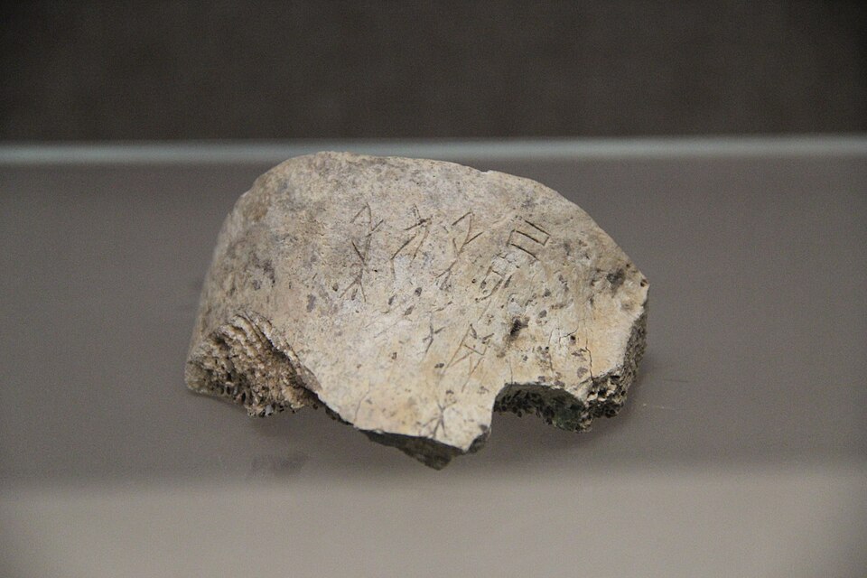 Oracle bone inscription from the Shang Dynasty, approximately 1200 BCE