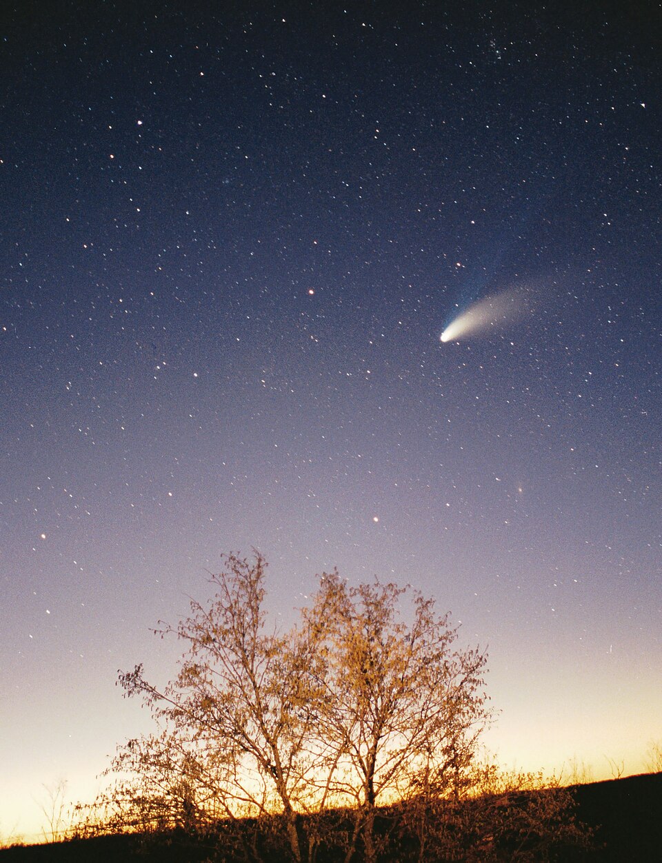 Comet Hale-Bopp photographed in March 1997 showing its bright white dust tail and blue ion tail extending across the sky