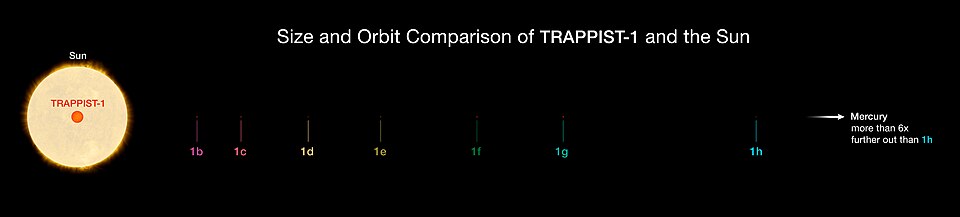 Diagram comparing the orbital scales of the TRAPPIST-1 planetary system to the inner Solar System