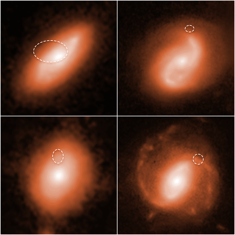Hubble Space Telescope images of four host galaxies of fast radio bursts