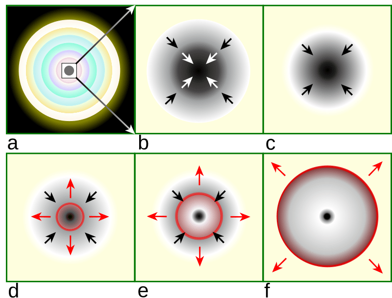 Diagram showing the onion-shell structure of a massive star before core collapse, with concentric layers of progressively heavier elements surrounding an iron core