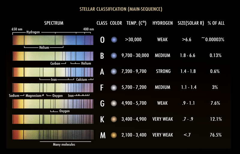 A chart showing the different star types with their typical spectrum, color, temperature range, hydrogen lines abundance, size, and the fraction of al