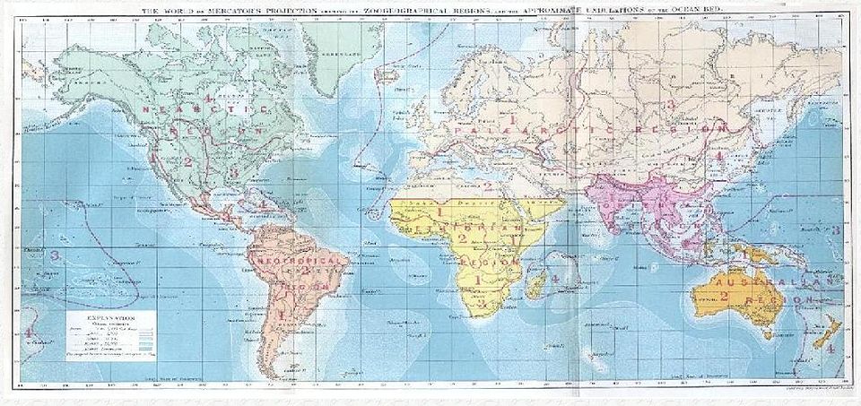 Map of Wallace's biogeographic regions of the world