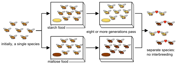 Illustration related to ecological speciation