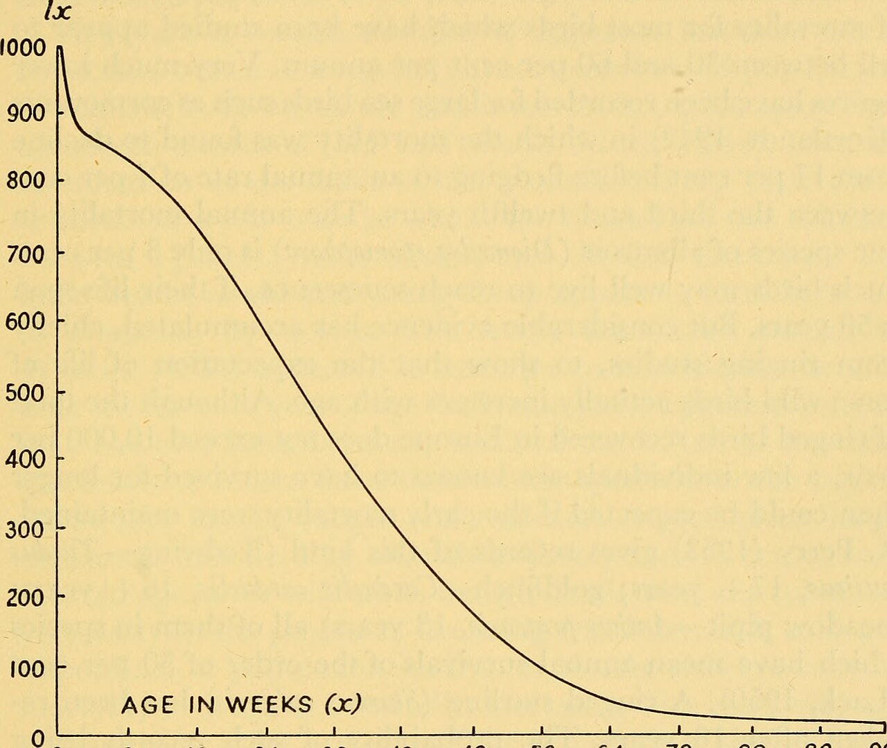 Illustration related to evolution of aging