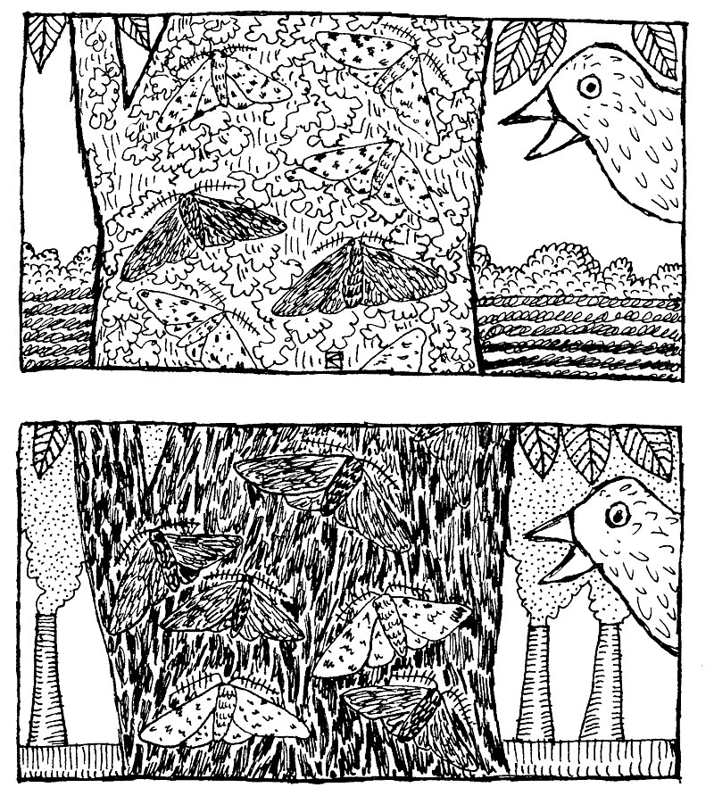 Two peppered moths on tree bark, one pale and one dark, illustrating natural selection during the Industrial Revolution