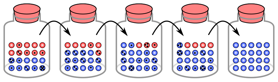 Simulation diagram showing how allele frequencies fluctuate randomly each generation in a small population due to genetic drift, with some alleles reaching fixation and others being lost