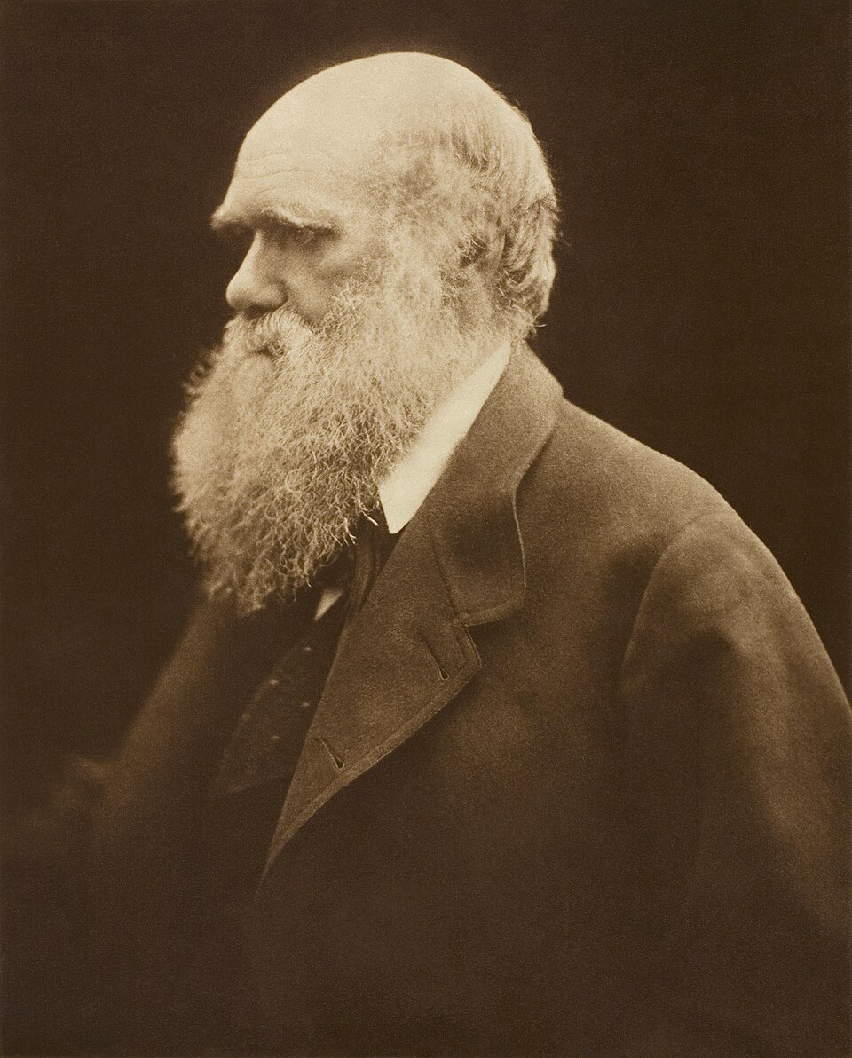 Carbon print photograph of Charles Darwin taken by Julia Margaret Cameron around 1868