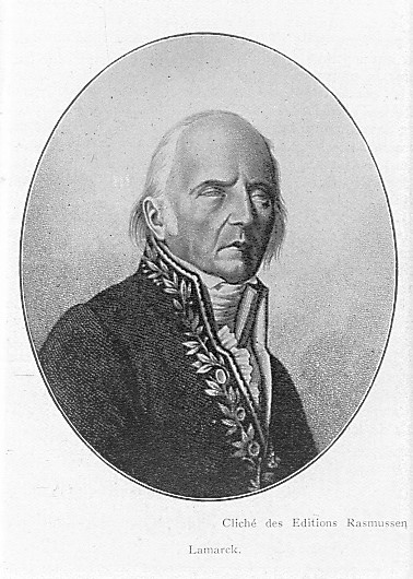 Portrait of Jean-Baptiste Lamarck, the French naturalist who proposed the first comprehensive theory of biological transformation in 1809