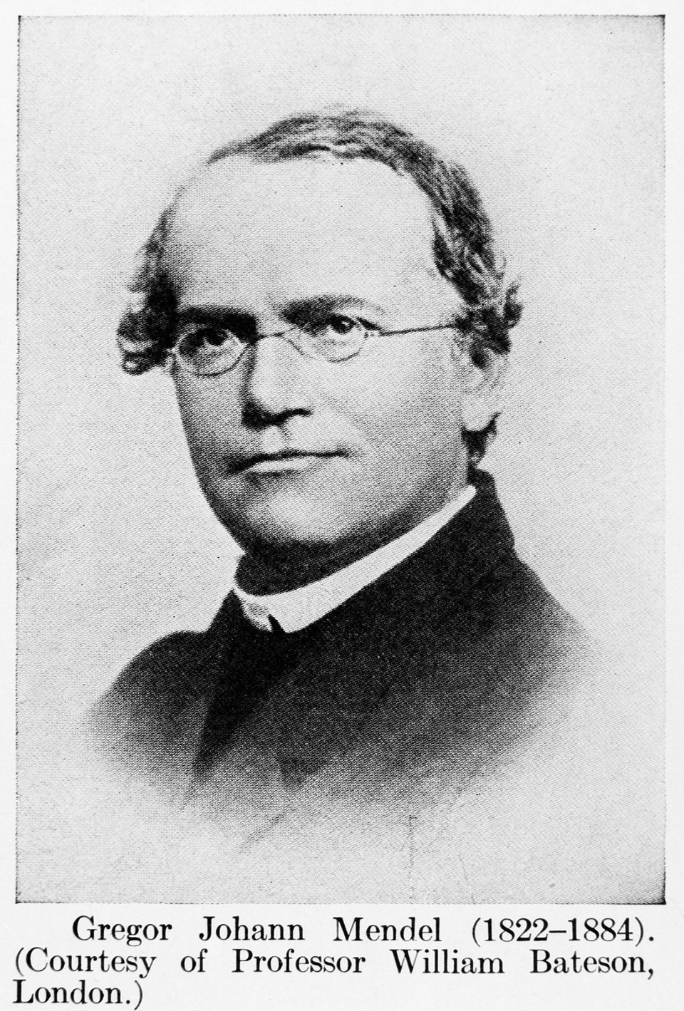 Portrait of Gregor Johann Mendel, the Augustinian friar who discovered the laws of heredity