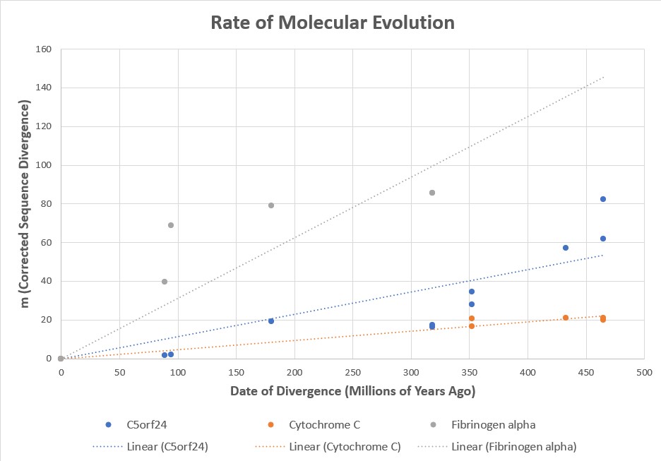 Illustration related to molecular evidence for common descent