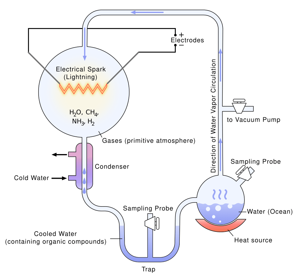 Diagram of the Miller-Urey experiment apparatus showing sealed flasks, electrodes for spark discharge, and collection of amino acids