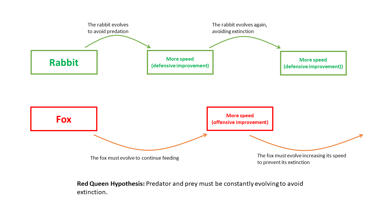 Illustration related to red queen hypothesis