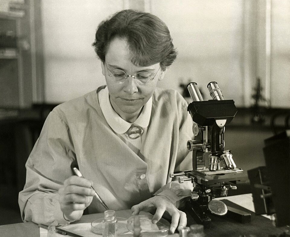 Barbara McClintock in her laboratory at Cold Spring Harbor in 1947