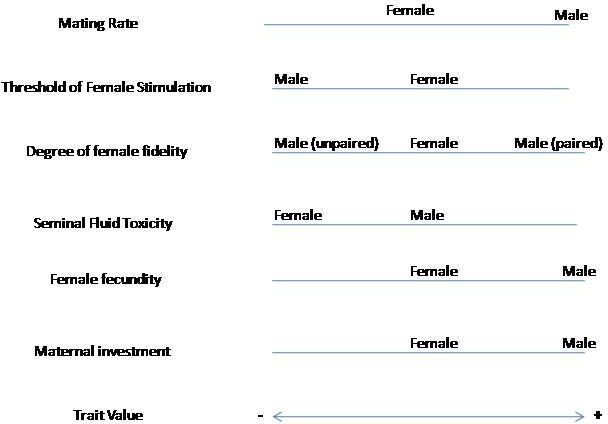 Conflicts of interests between sexes