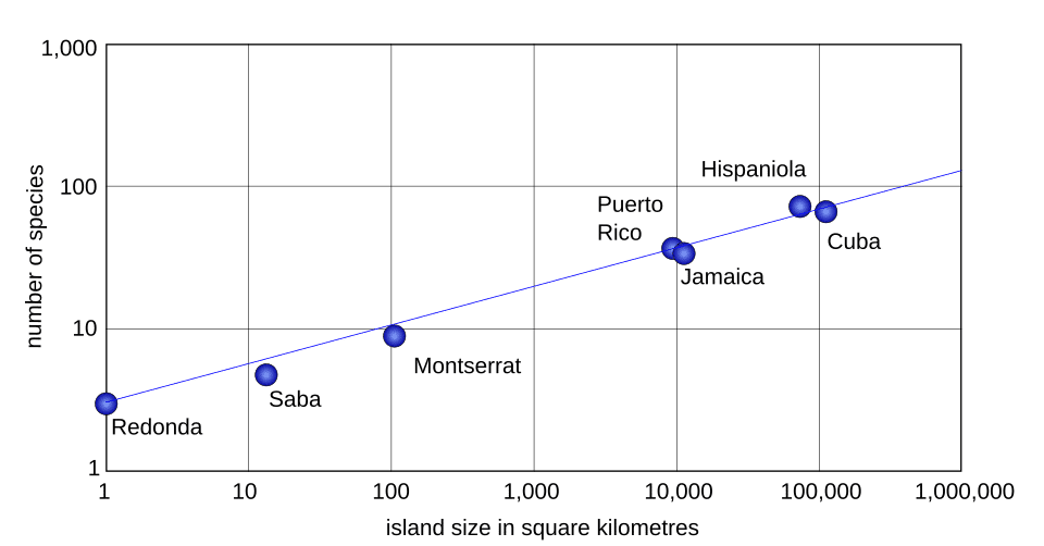 Log-log scatter plot of reptile and amphibian species richness against island area for seven West Indies islands, showing a positive power-law relationship