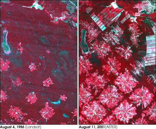 Satellite images of tropical deforestation in Santa Cruz, Bolivia, comparing 1986 and 2001, showing rapid conversion of forest to agricultural land in a radial pattern