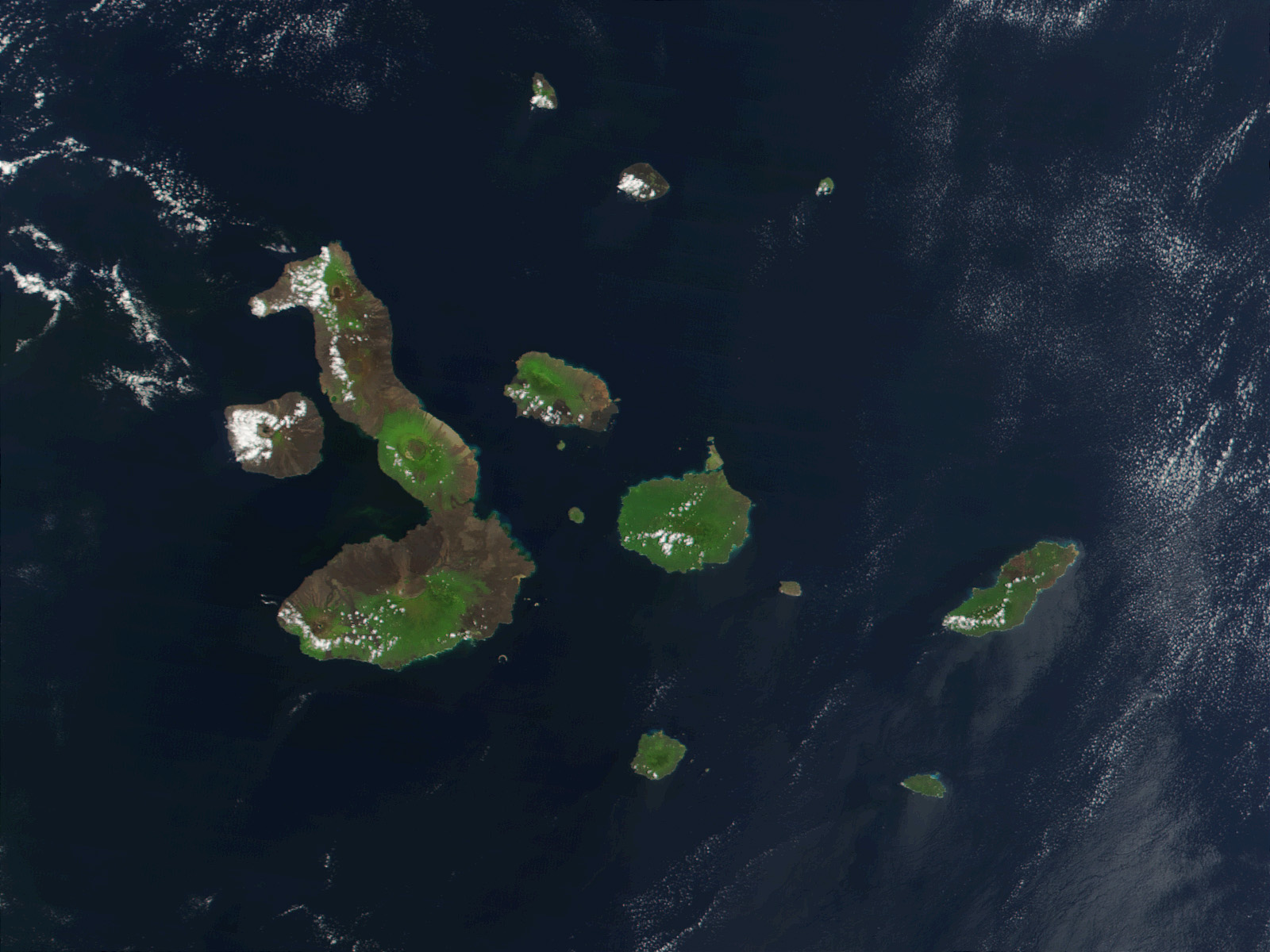 MODIS satellite image of the Galapagos Islands in the Pacific Ocean showing the volcanic archipelago from space