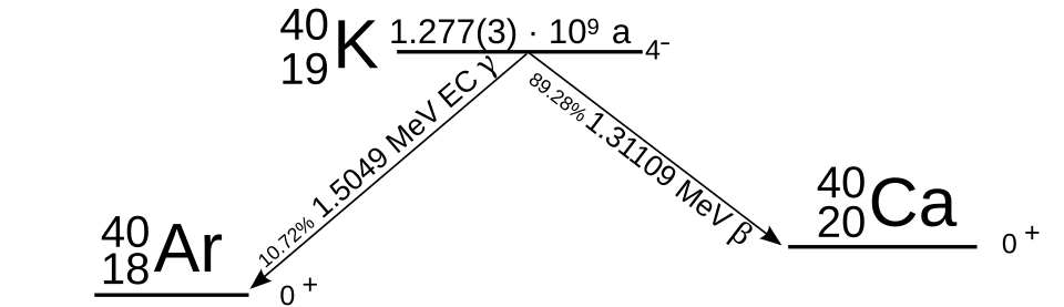 Diagram showing the branching decay of potassium-40 to argon-40 by electron capture and to calcium-40 by beta-minus decay