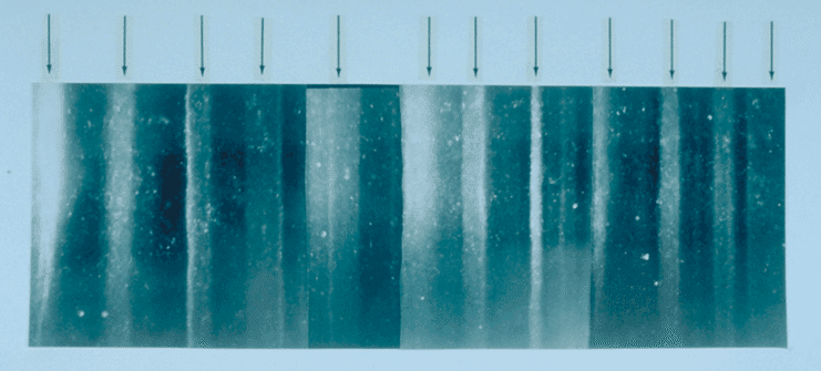 Close-up photograph of GISP2 ice core section at 1,855 metres depth showing distinct annual layers