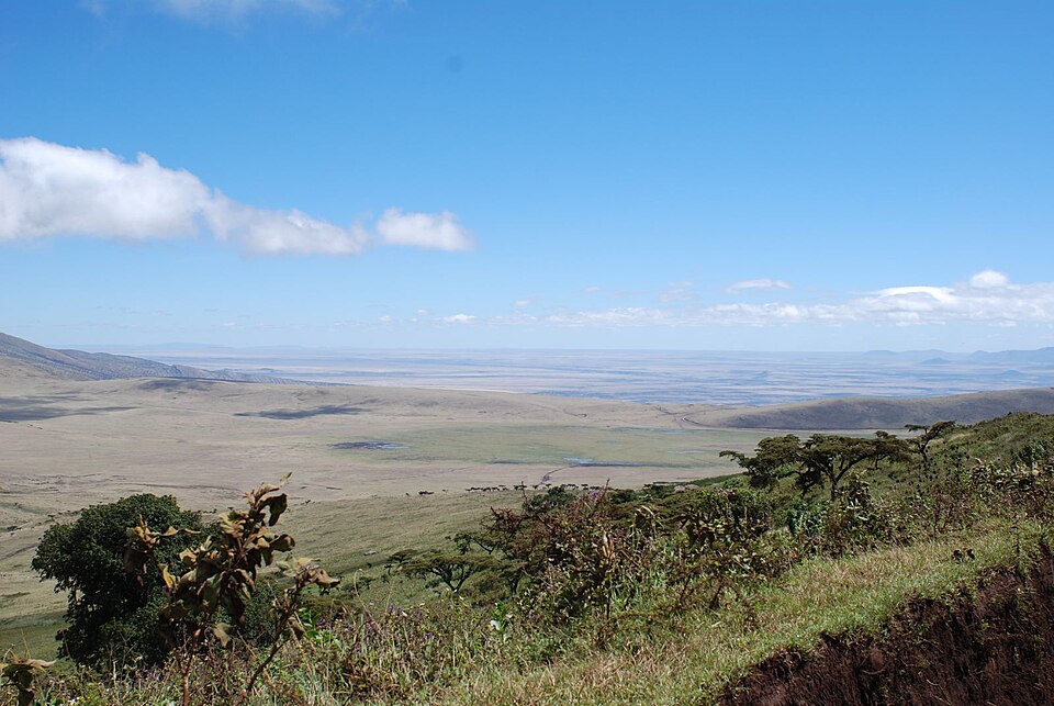 Aerial photograph of the Great Rift Valley in Tanzania showing the escarpment and valley floor