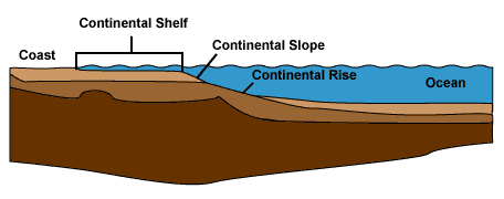 A bathymetric cross-section showing the continental shelf, slope, and deep ocean floor