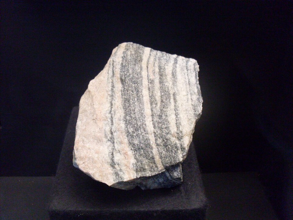 A fragment of Acasta Gneiss, the oldest known rock outcrop on Earth, displaying deformed banding characteristic of ancient high-grade metamorphic rock