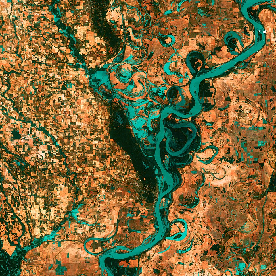 Satellite view of the meandering Mississippi River south of Memphis, showing oxbow lakes and sinuous channel bends