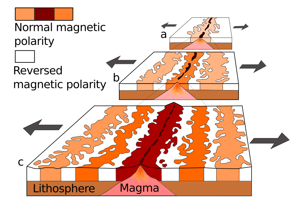 Diagram showing the formation of symmetric magnetic stripes on the ocean floor as new crust is created at a mid-ocean ridge