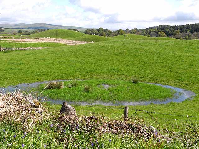 A drumlin swarm in the Cairn Water valley, southern Scotland, showing the characteristic basket-of-eggs topography
