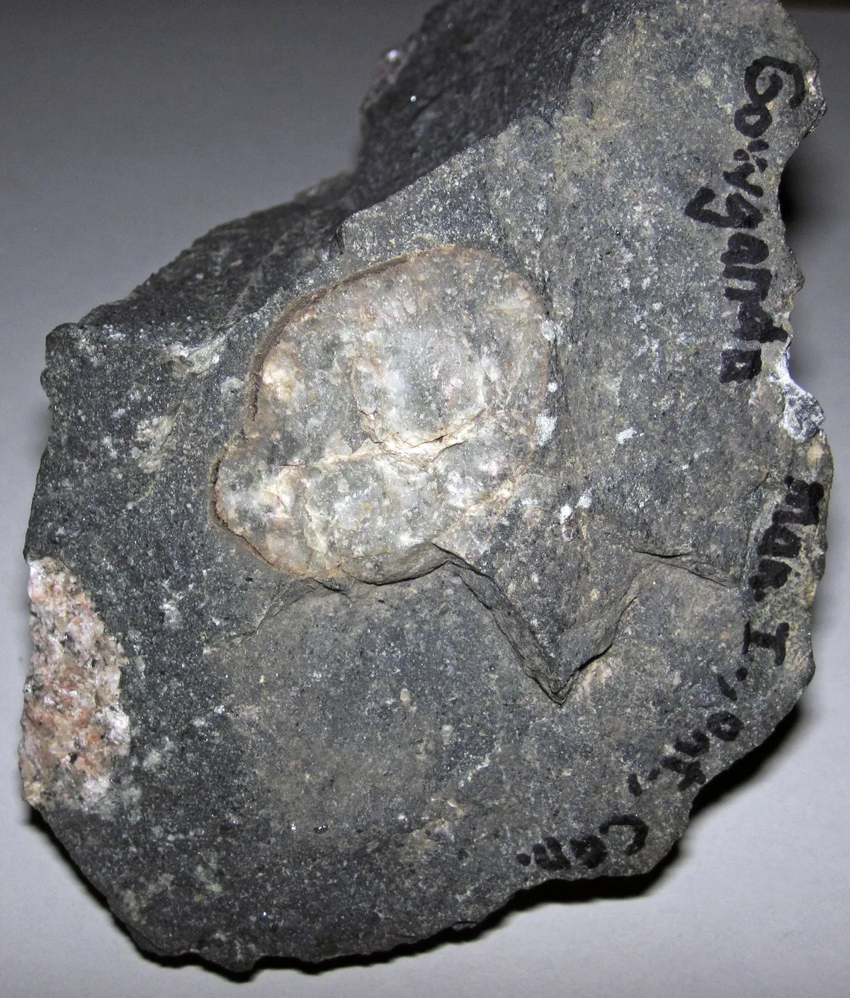 Outcrop of diamictite from the Gowganda Formation in Ontario, Canada, showing unsorted clasts in a fine-grained matrix characteristic of glacial deposits