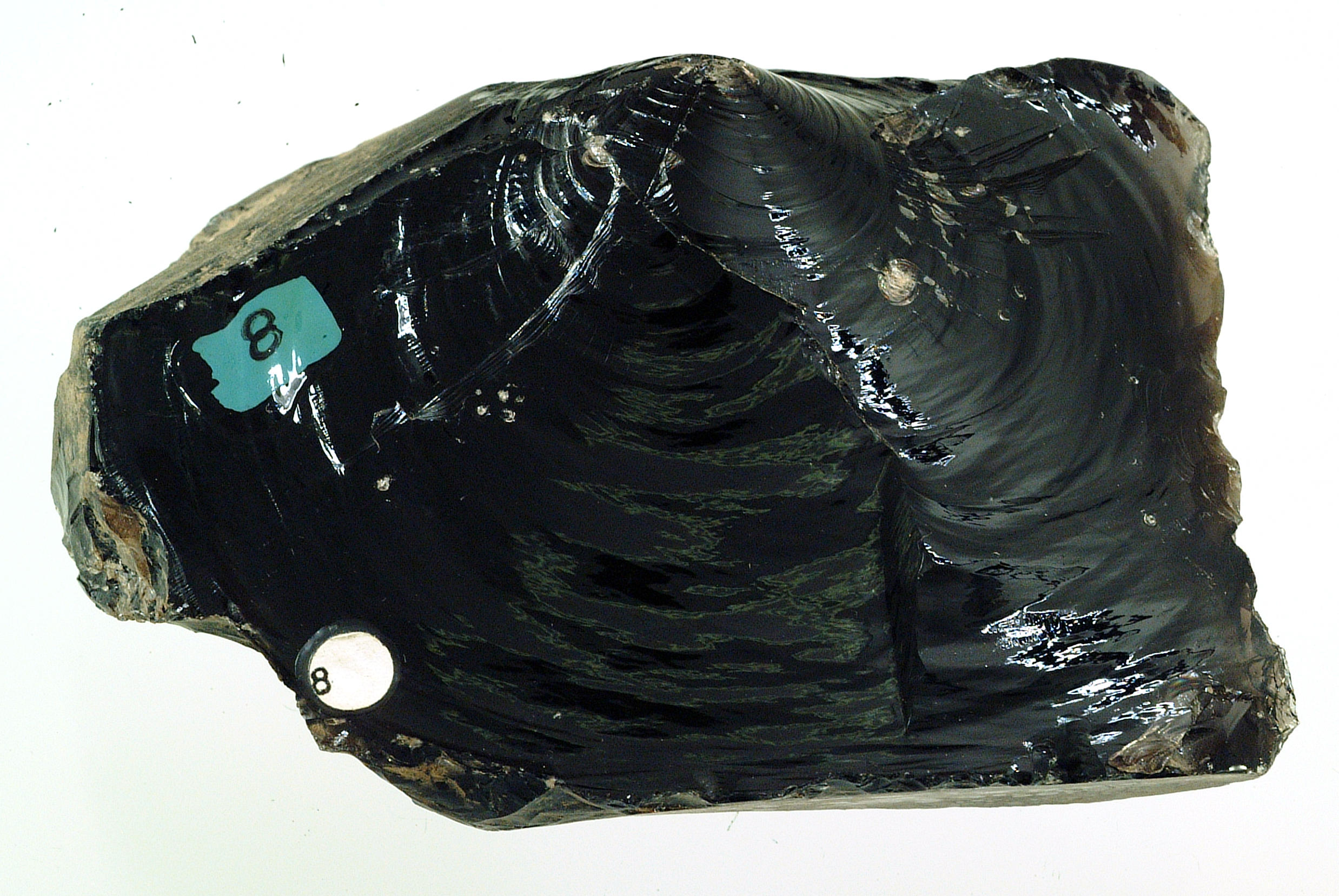 Specimen of obsidian volcanic glass from Lake County, Oregon, showing jet black colour and conchoidal fracture surfaces