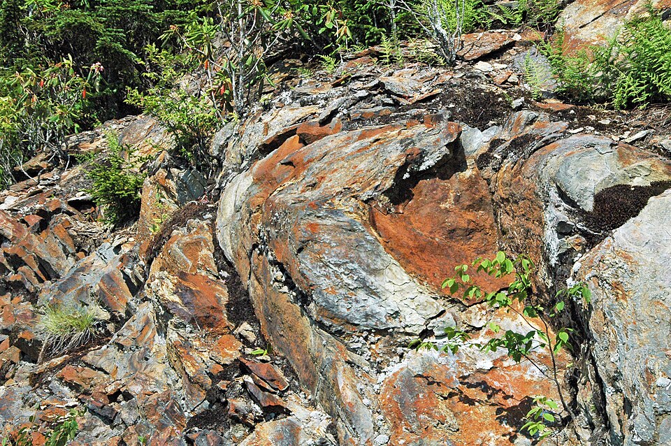 Muscovite schist from the Precambrian Blue Ridge of North Carolina, showing silvery mica foliation