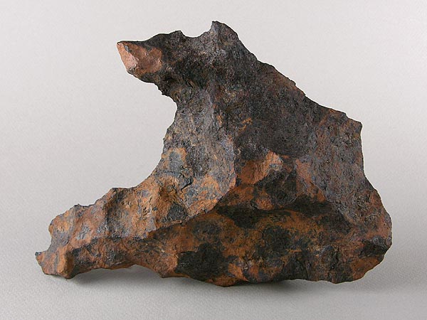 A specimen of the Canyon Diablo iron meteorite showing a dark, irregular surface with natural patina