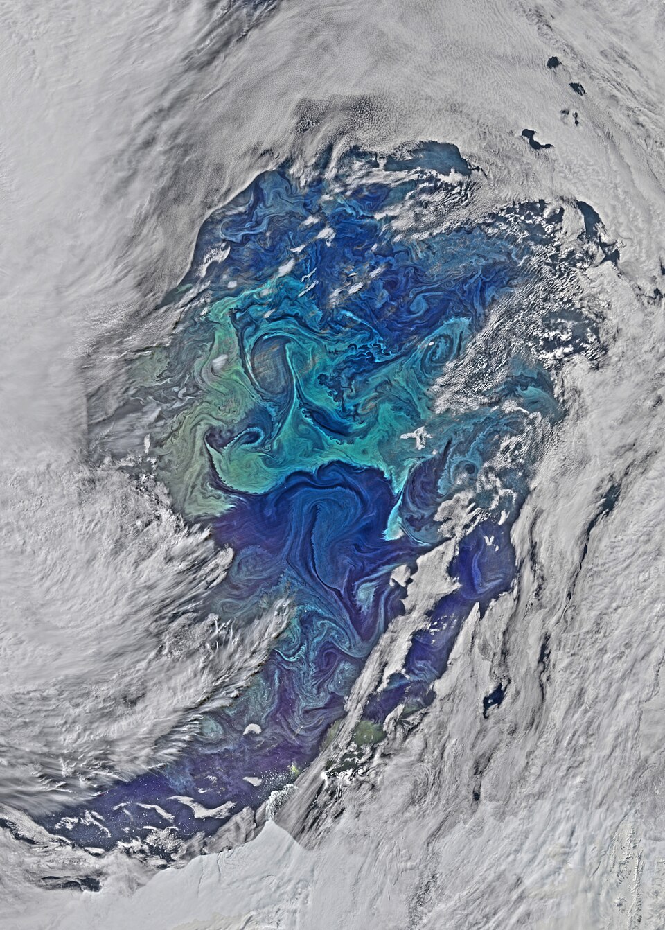 Satellite image showing ocean eddies in the Southern Ocean west of the Drake Passage