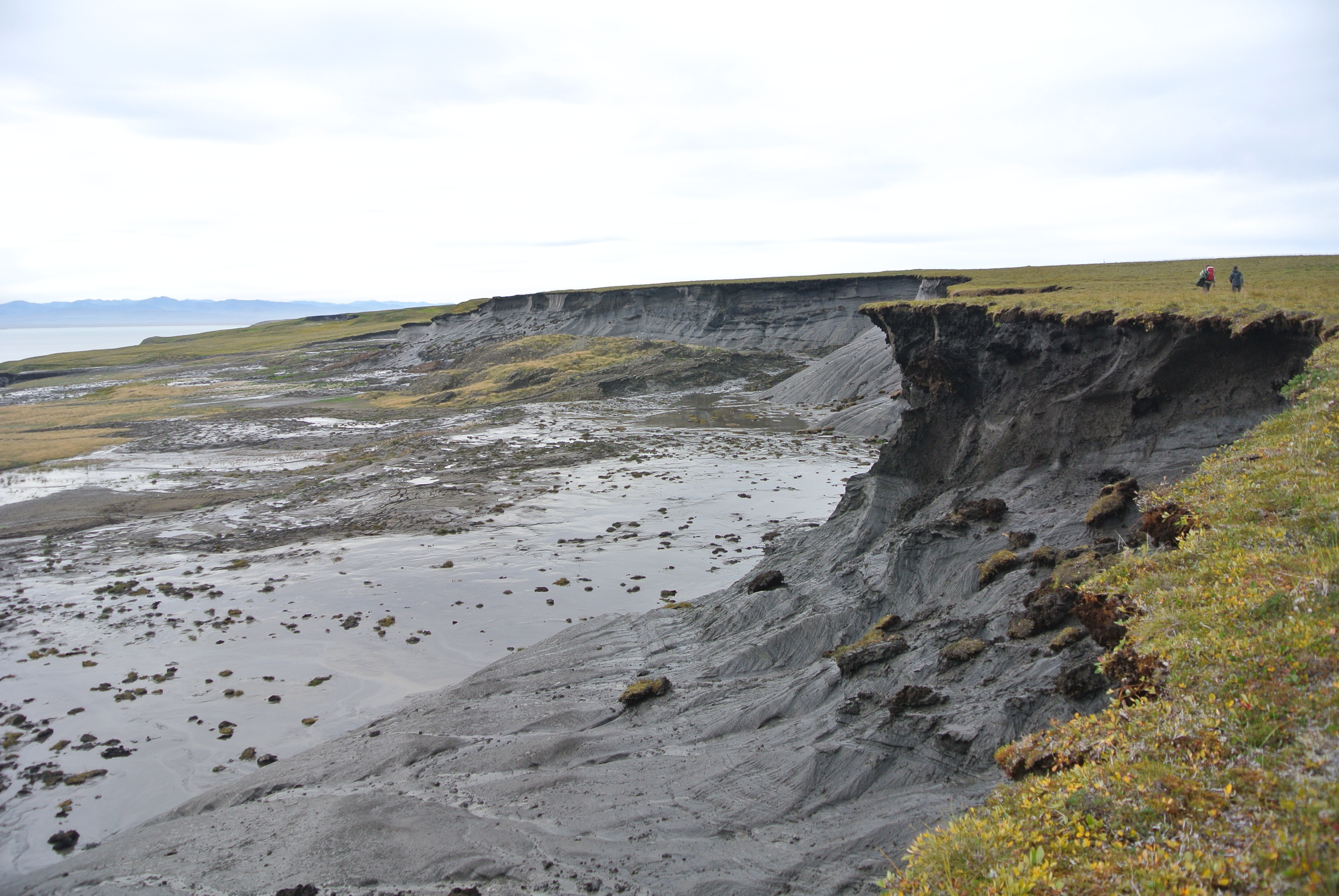 Exposed thawing ice-rich permafrost cliff on Herschel Island, Yukon, with massive ground ice and slumped sediment