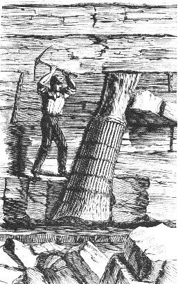 A fossilized tree trunk extending vertically through multiple layers of sedimentary rock