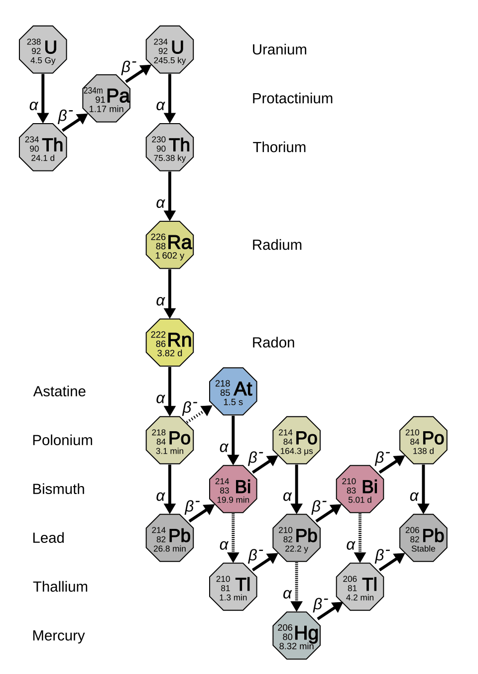 Diagram of the uranium-238 decay chain showing each intermediate isotope from U-238 to stable Pb-206