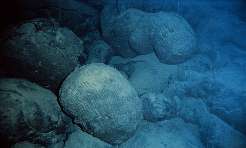 Pillow basalts on the Pacific Ocean seafloor, showing the rounded, bulbous forms characteristic of lava erupted underwater