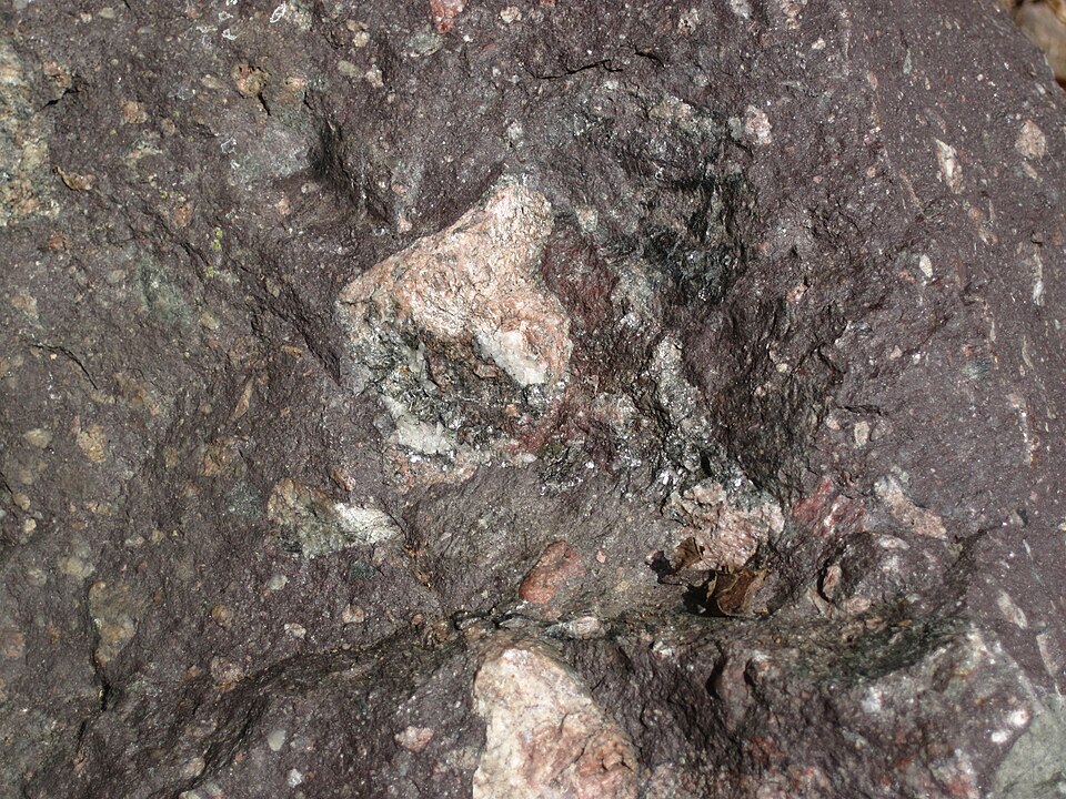 Neoproterozoic diamictite (metatillite) from the Konnarock Formation, approximately 750 million years old, exposed at a roadcut in Virginia