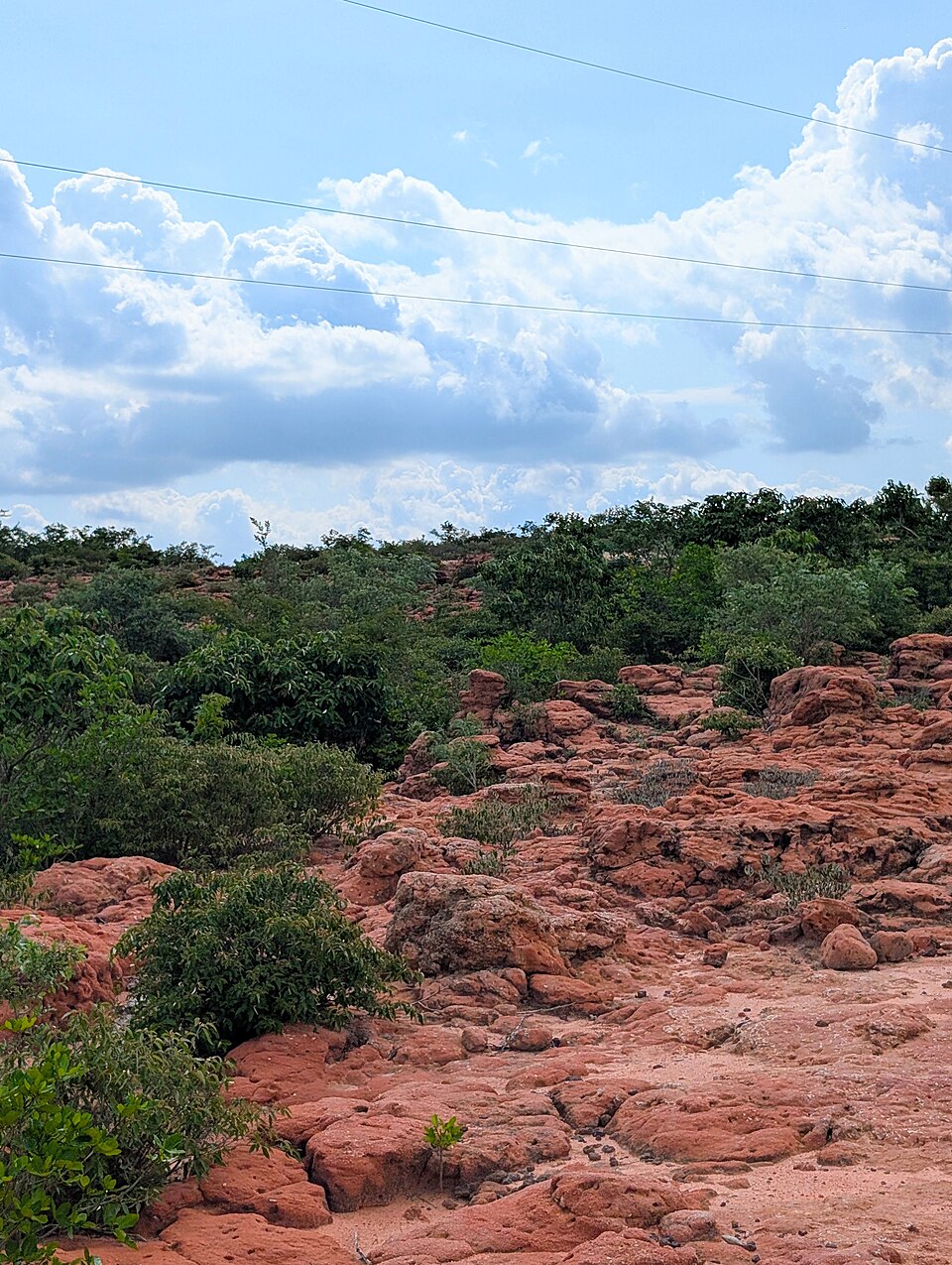 Laterite stones from a tropical weathering profile, showing the characteristic reddish iron-oxide-rich material