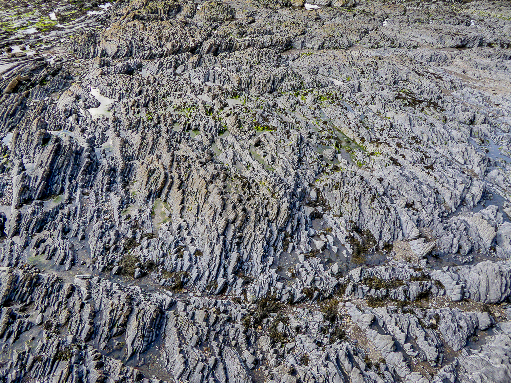 Near-vertical rock strata exposed in a coastal cliff face at Aberystwyth, Wales