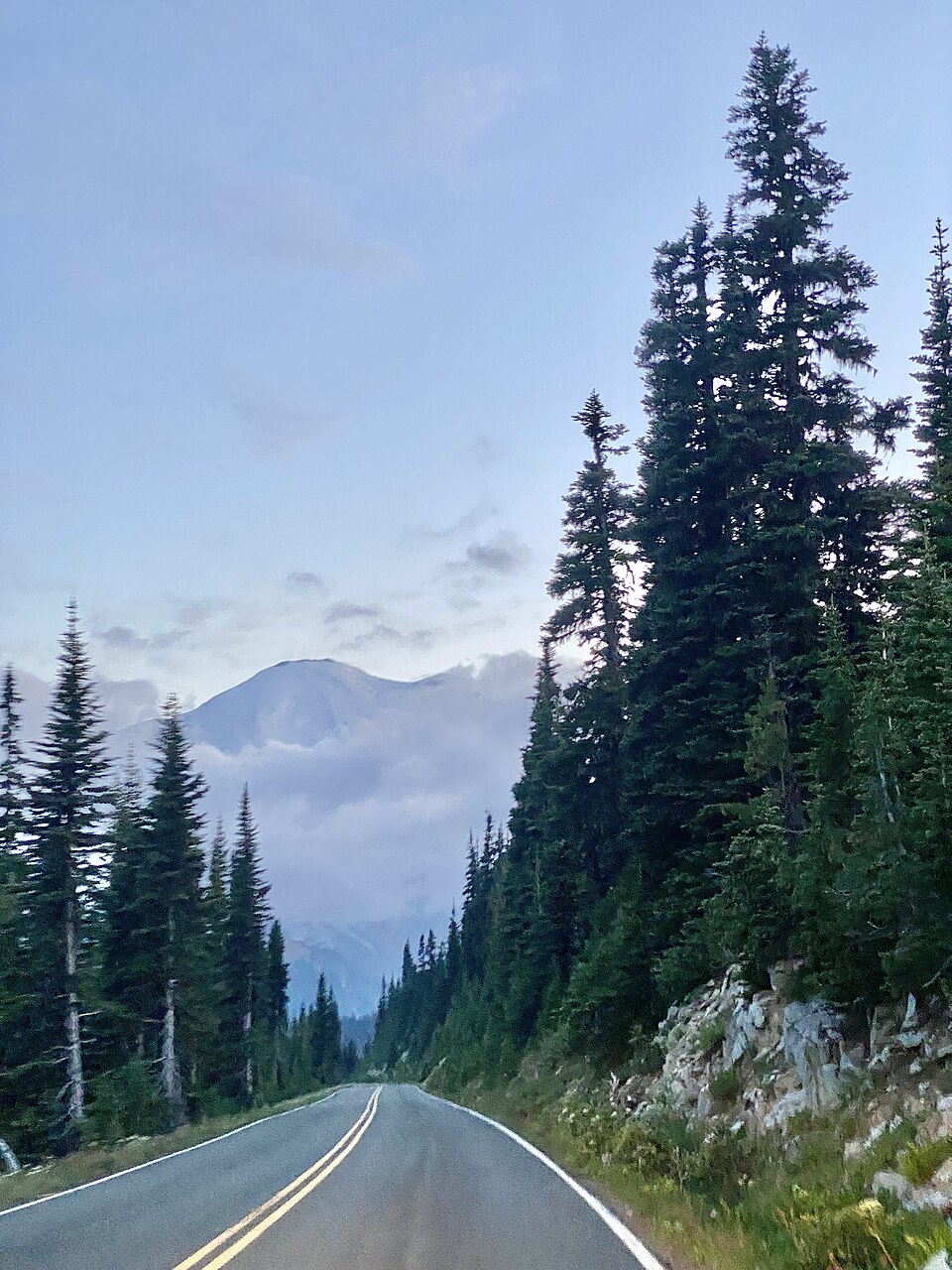 Mount Rainier, an active stratovolcano in the Cascade Range of Washington State, rising above surrounding forests